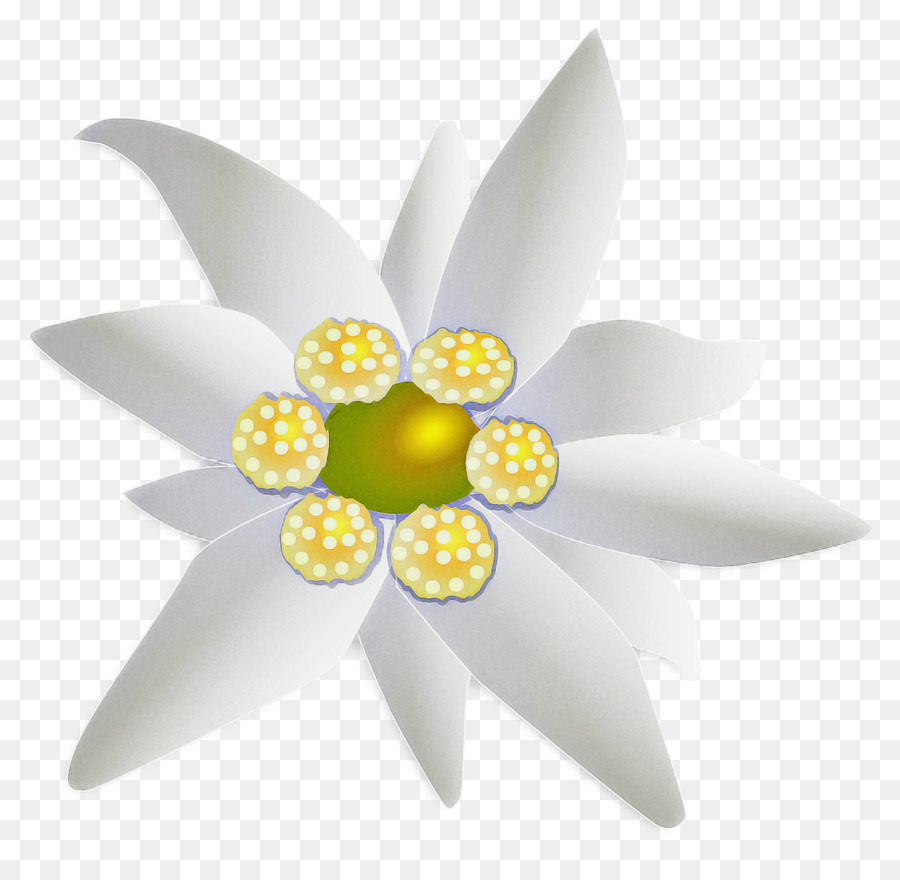 Design del prodotto Pianta gialla da fiore - 