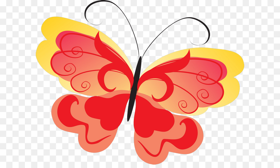 Farfalla monarca Insetto Immagine di farfalle dai piedi di spazzola - nymphalidae