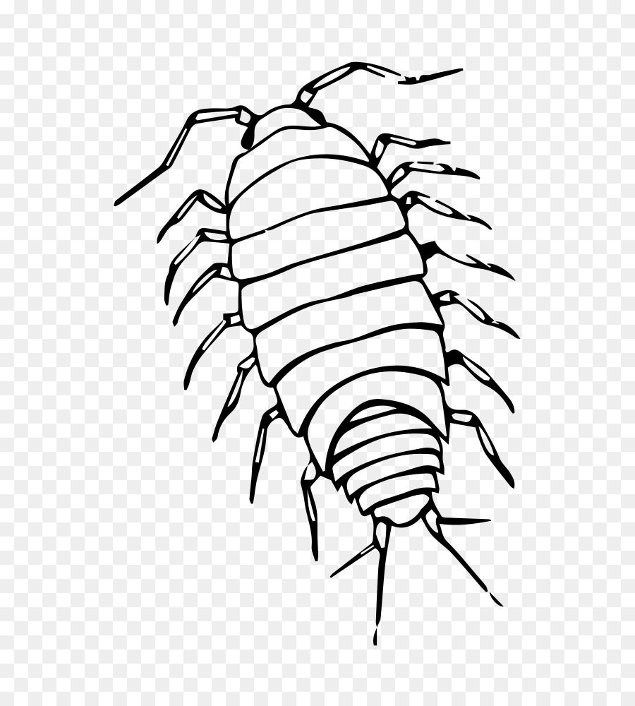 Roly-poly Vẽ lỗi bọ côn trùng Đồ họa mạng di động - gieo