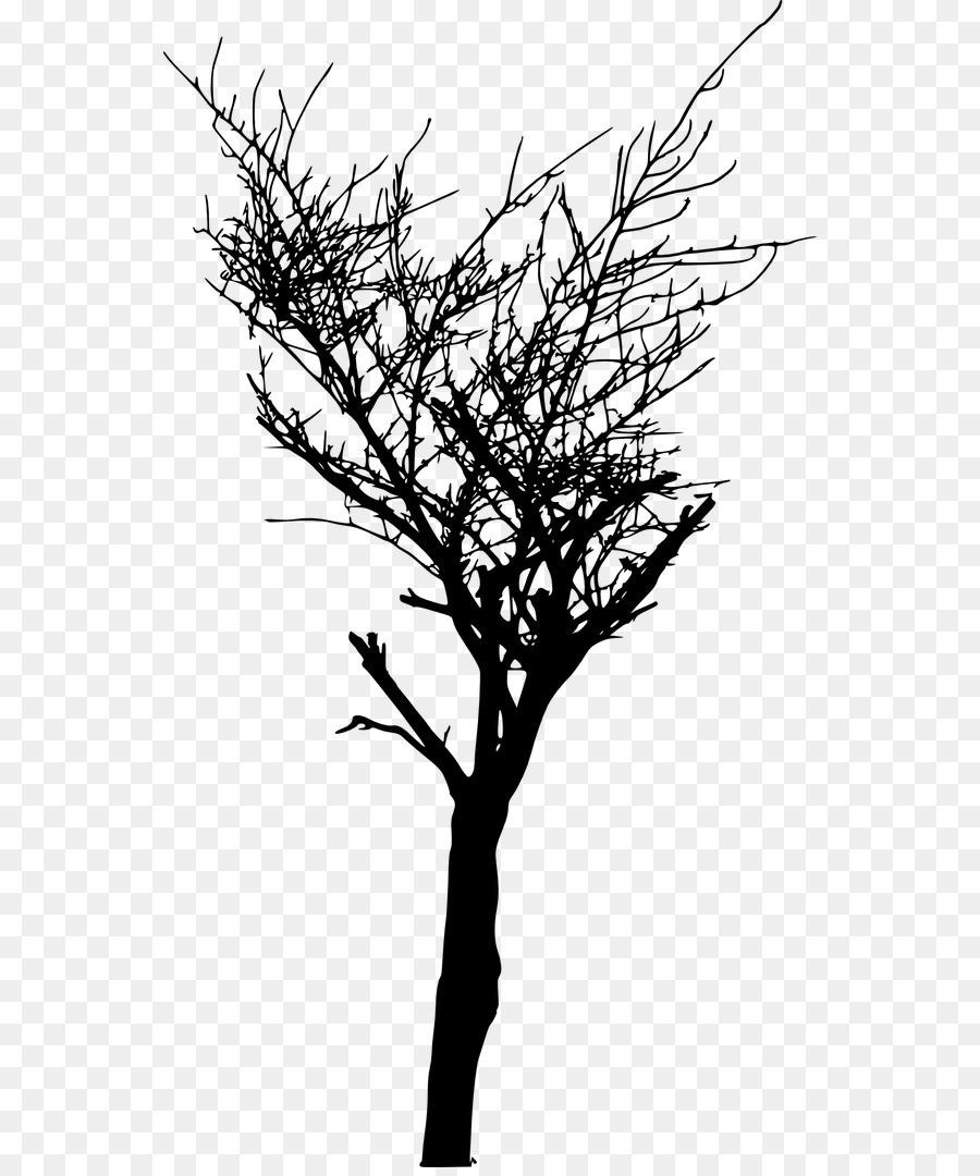 Tree Branch Silhouette