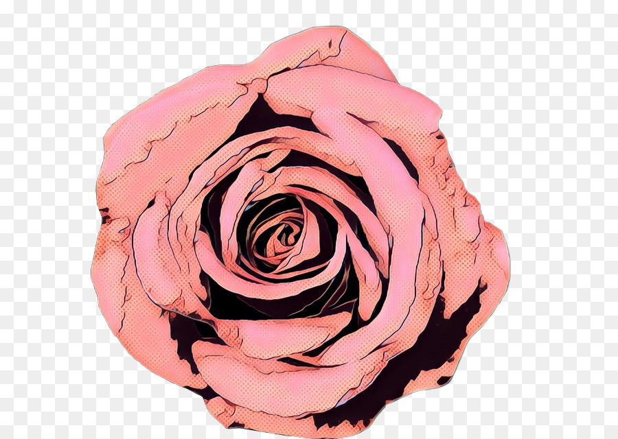 Le rose da giardino di Cavolo rosa di Petali di fiori recisi - 