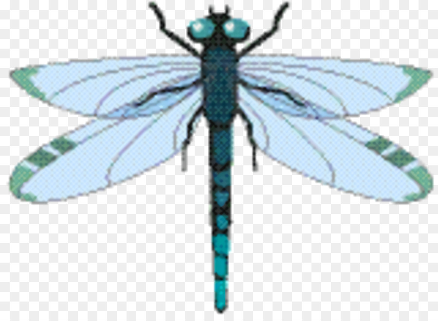 Dragonfly Côn trùng bướm M / 0d Pollinator - 