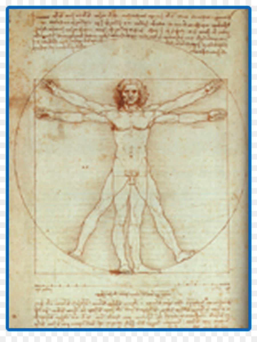 Vitruvian Man Leonardo Da Vinci - Das grafische Werk Renaissancekunst Zeichnung - Frankreich vinci