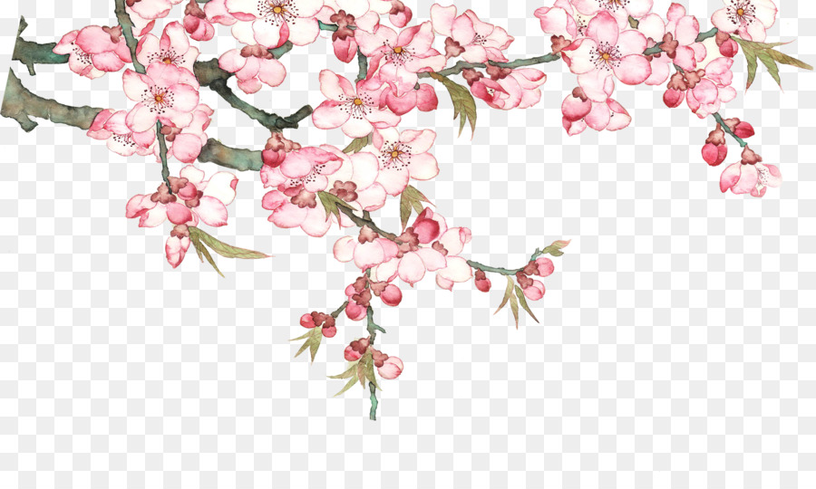 Blüten-Aquarellmalerei Pfirsich-Blume - kristalline Cartoon Png Blüte