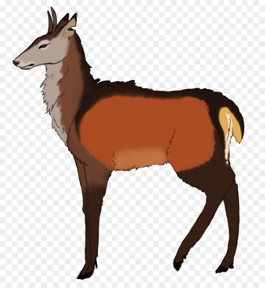 Mustang Deer Pony Rotfuchs Antilope - Rotwild