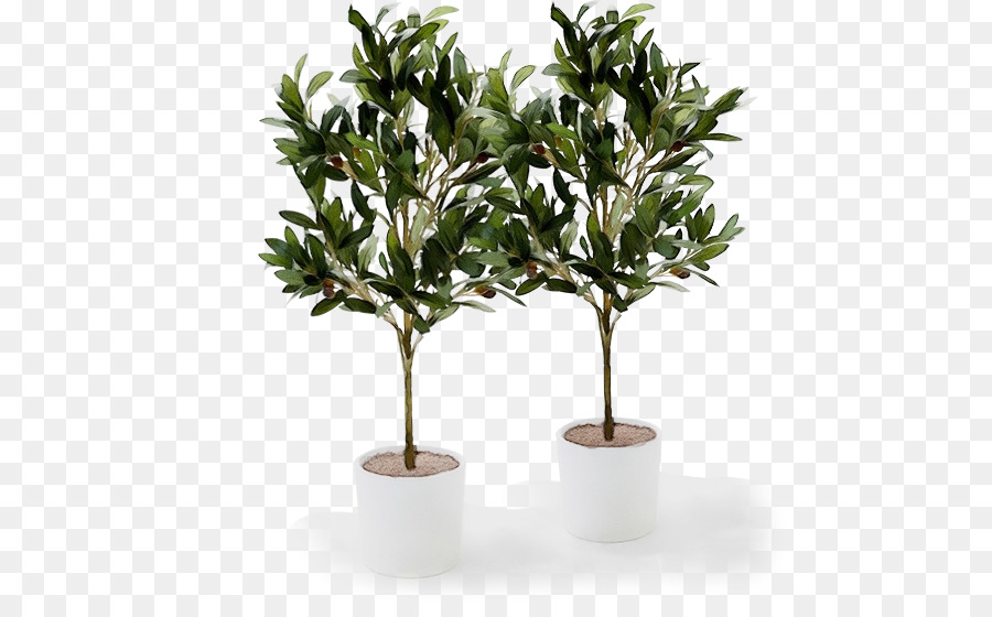 Zweig Olivenbaum Kmart Große Vase Zimmerpflanze - 