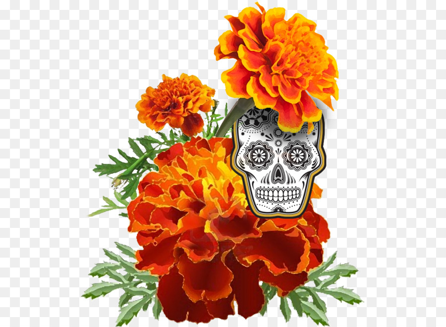 Tag der mexikanischen Ringelblume der toten Zeichnung Portable Network Graphics Flower - Mexiko Blüte