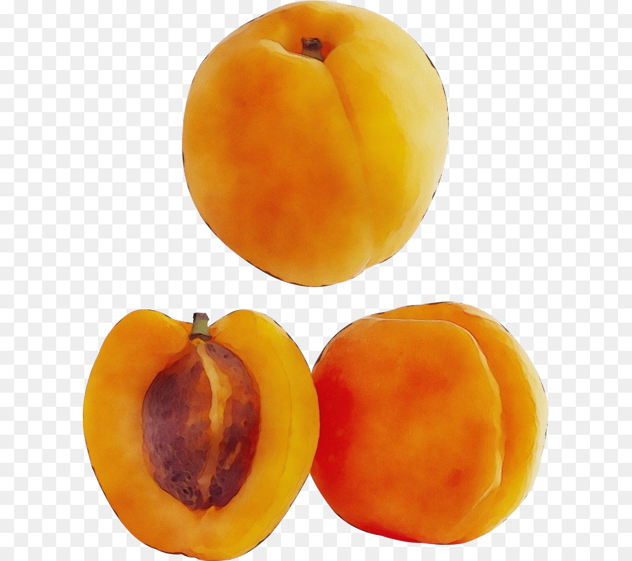 Longevità pesca Saturn Peach Food Fruit Apricot - 