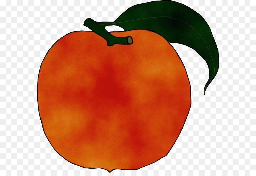 Clip Art Peach Melba Portable Network Graphics Vektorgrafiken - 