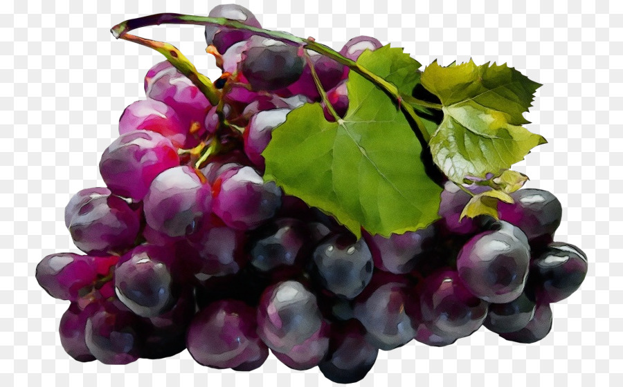 Estratto di semi d'uva Zante currant Senza semi di frutta Viola - 