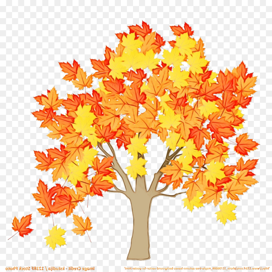 Clip art Albero Autumn Branch Foglia d'acero - 