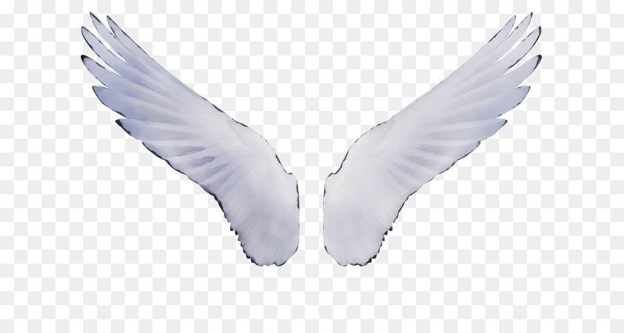 Flügel HKG: 2398 Feather Devil Angel - 