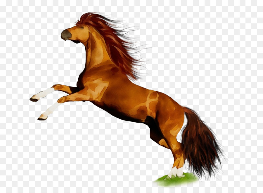Đồ họa mạng di động Clip nghệ thuật ngựa Ả Rập Hình ảnh hạt dẻ - 
