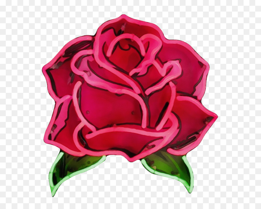 Vườn hoa hồng Nhiếp ảnh Hữu nghị Bông hồng rơi vào tình yêu - 