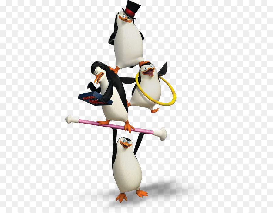Hình ảnh chim cánh cụt Madagascar Tencent QQ - gloria từ madagreb png