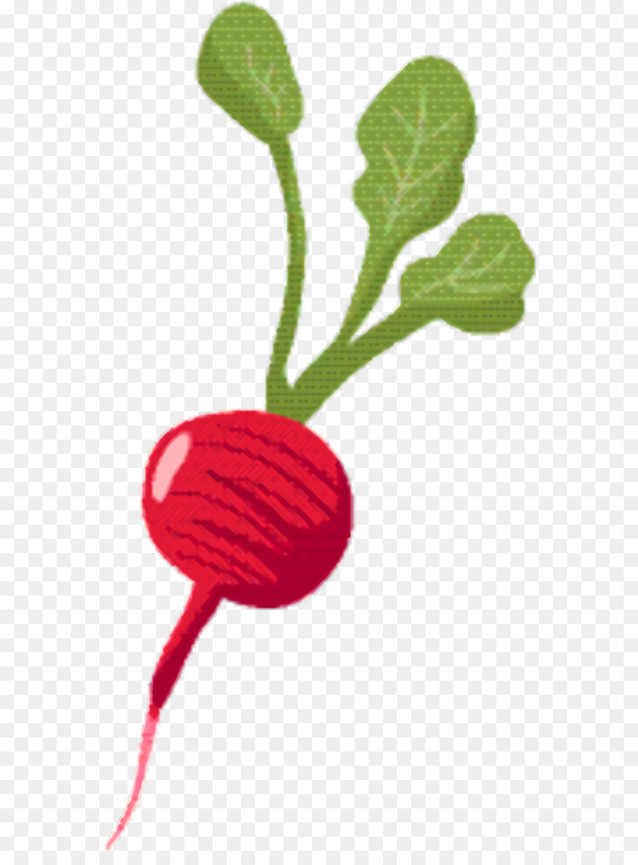 Image Carrot Ravish Food Grafica di rete portatile - 