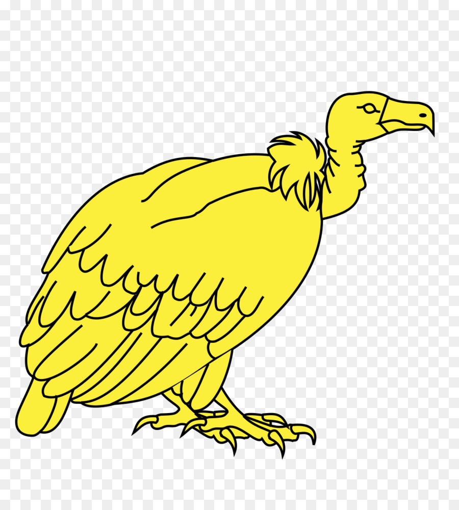 Clip art Beak Portable Network Graphics Scalable Vector Graphics Avvoltoio - Avvoltoi