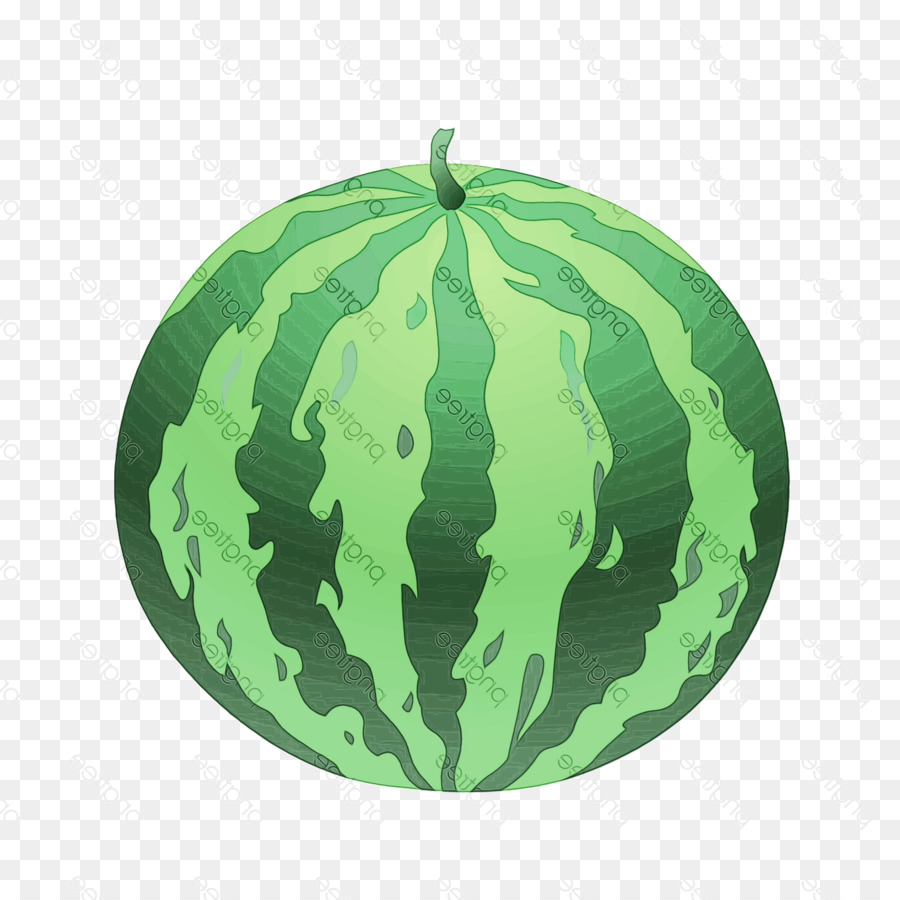 Wassermelone Squash - 
