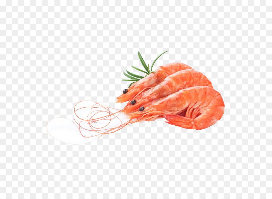 Stock photography Lizenzfreie Shutterstock Shrimp Illustration - frische Meeresfrüchte