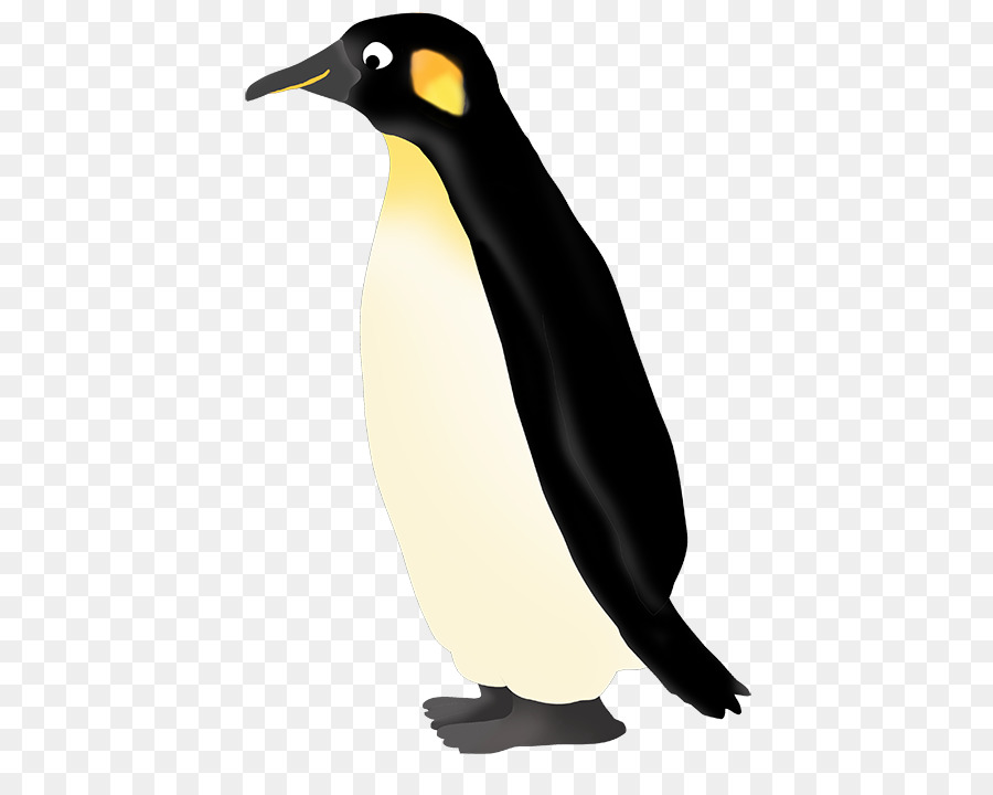 ClipArt King Penguin Portable Network Graphics Immagine - Pinguino