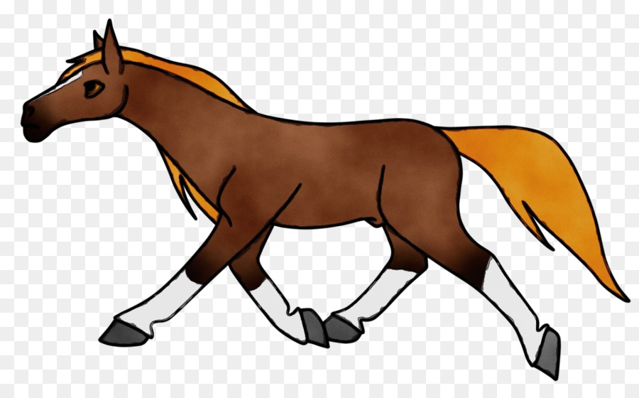 Clip nghệ thuật Mustang foal Dog Pony - 