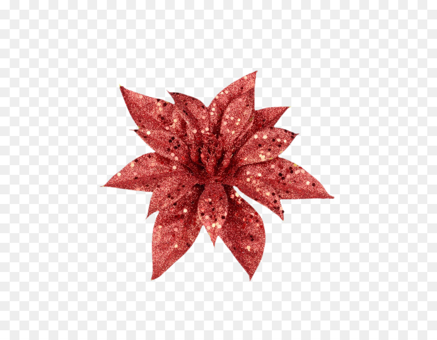 Blatt Blume - Weihnachtsstern