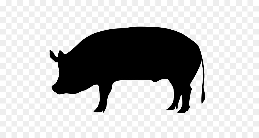 Miniaturschwein Haines Pork Store Schweinebraten - Vieh