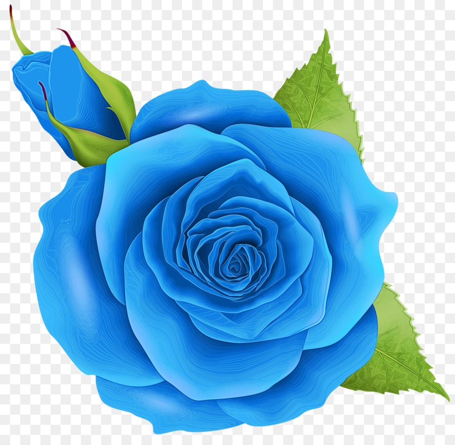 Blue Watercolor Flowers