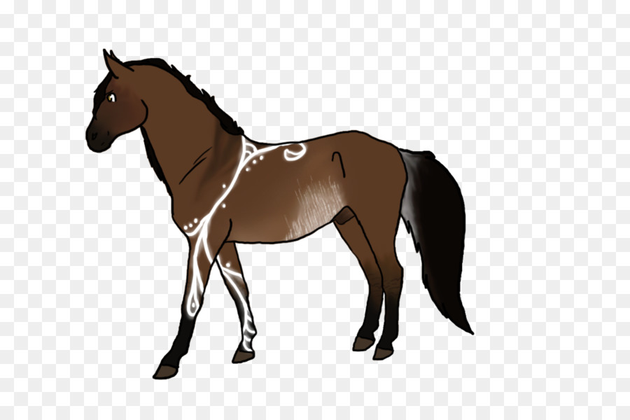 Andalusisches Pferd Stockfoto Bild-Hengst - Trigger