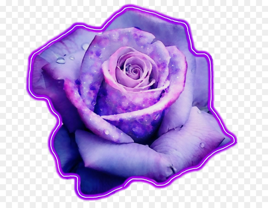 Ảnh nghệ thuật Lilac Màu xanh hồng - 