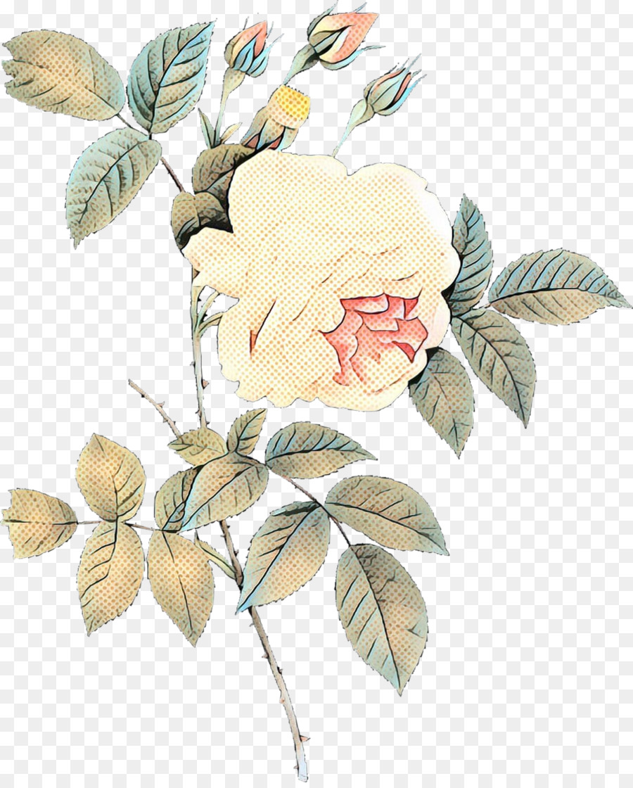 Kohlrose Blumenmuster RoseArt - 