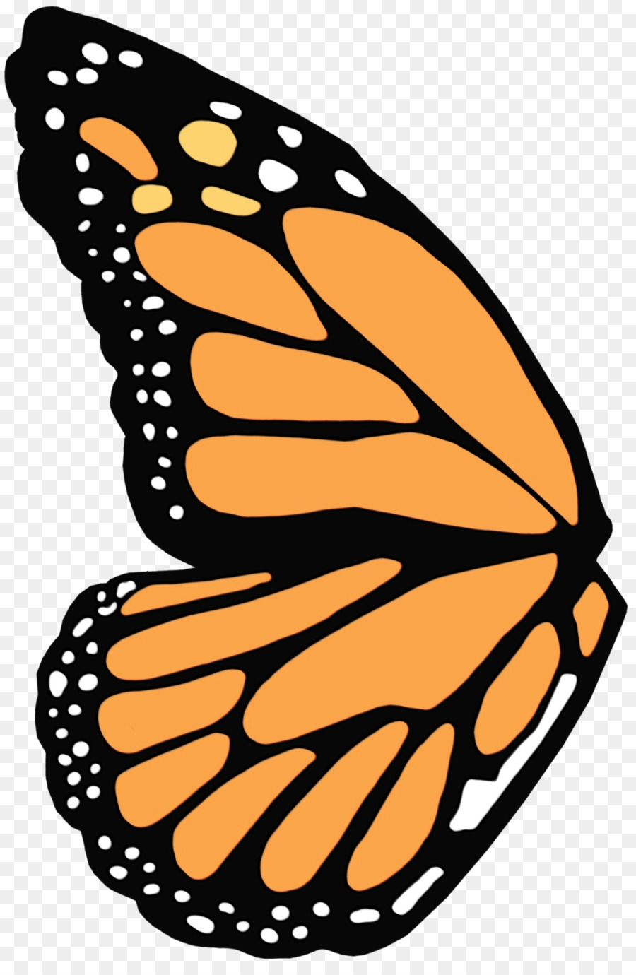 Farfalla monarca Farfalle dai piedi pennuti Insetto Borboleta - 