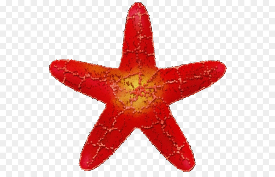 Roter Stern Art Portable Network Graphics Starfish Fünfzackiger Stern - 