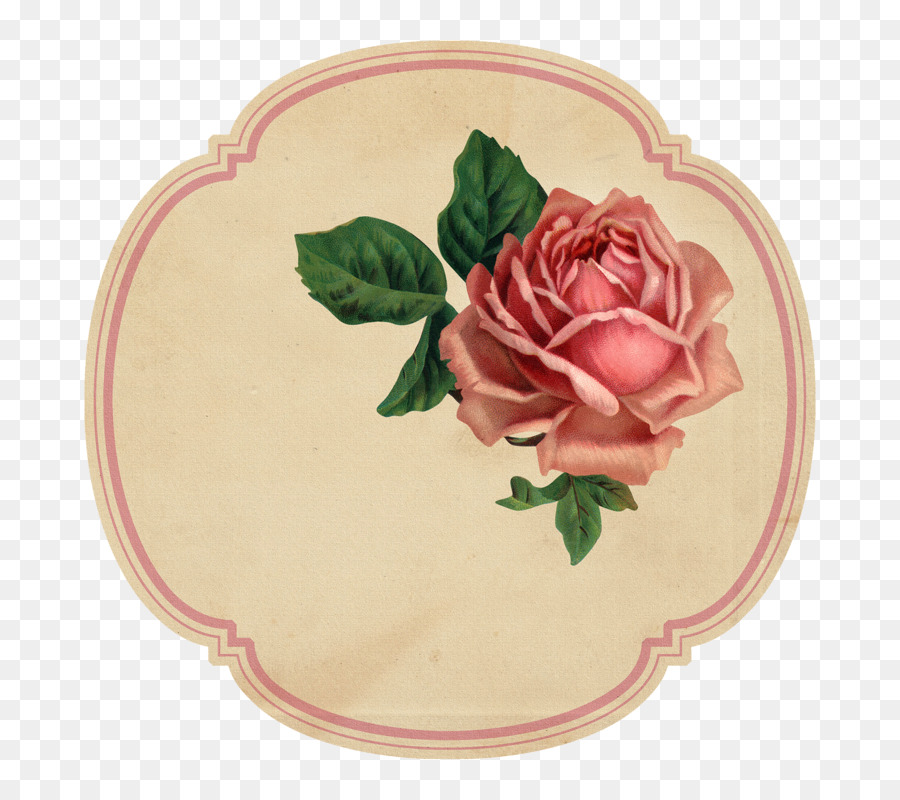 Rose da giardino Etichetta fiori recisi in carta - stoviglie floreali
