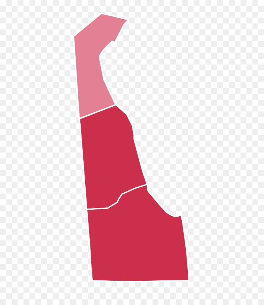 Elezioni presidenziali del Delaware South Dakota Washington - Delaware