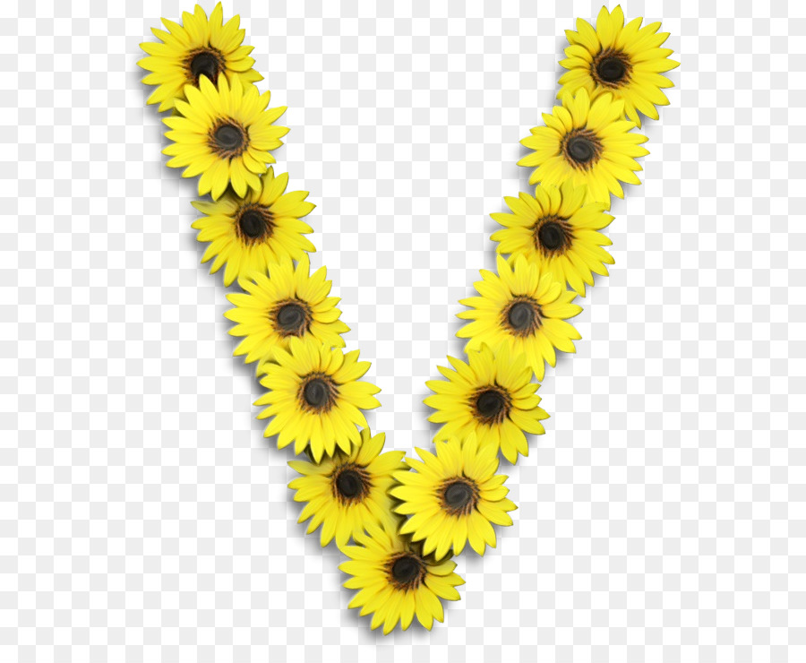 Gemeinsame Sonnenblume Buchstaben Alphabet V ClipArt - 