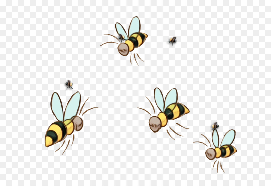 Honey bee Clip, arte, Illustrazione - 
