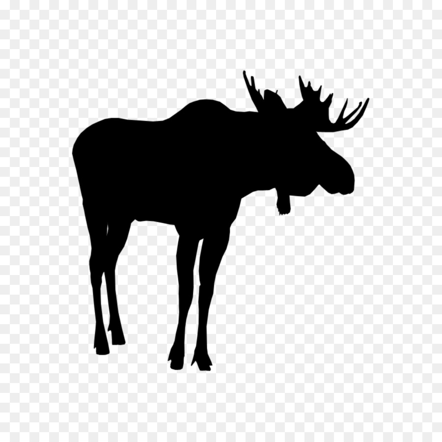 Moose Reindeer Gia súc Clip nghệ thuật - con nai sừng tấm