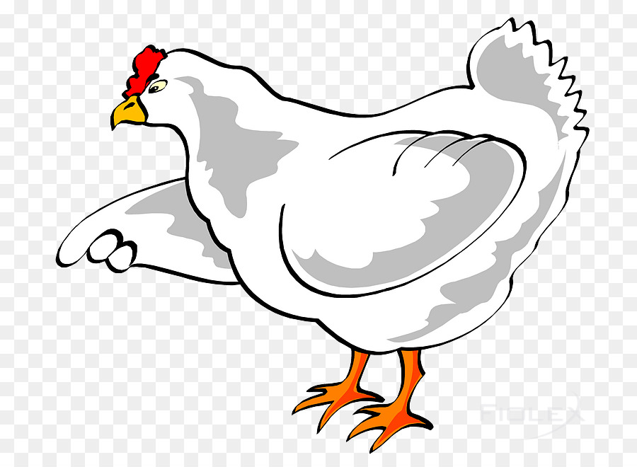 Uccello dell'illustrazione del pollo di clipart di gallo - polli degli stati uniti