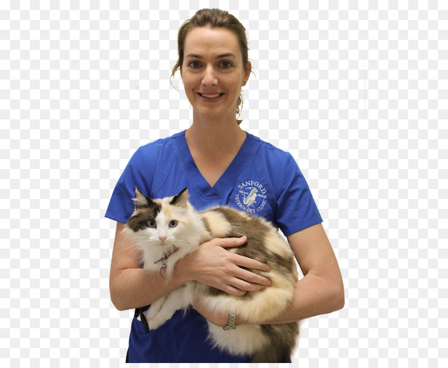 Kätzchen Katze Schnurrhaare Fell - Facebook Tierarztpraxis