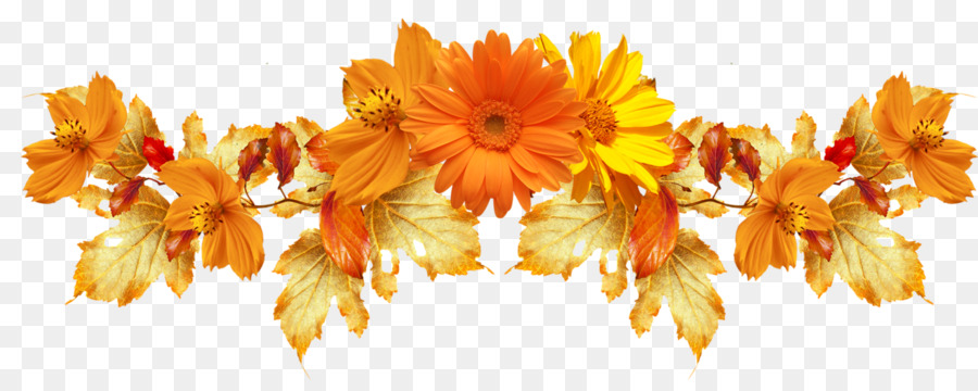 Portable Network Graphics Clip nghệ thuật hoa Hình ảnh minh bạch - picotee biên giới mùa thu