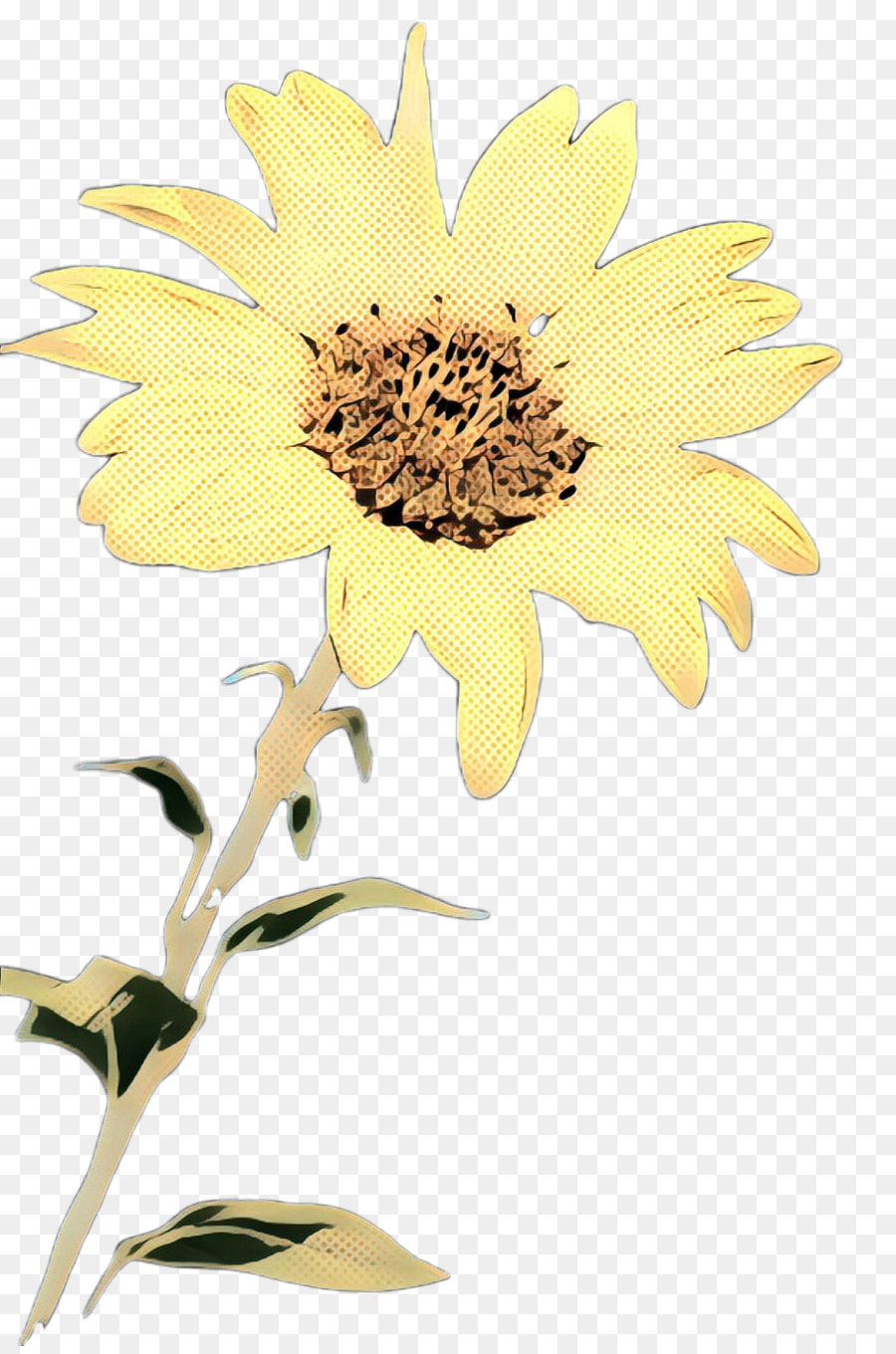Gemeinsame Sonnenblume Schnittblumen Blumenmuster Pflanzenstamm Sonnenblumensamen - 
