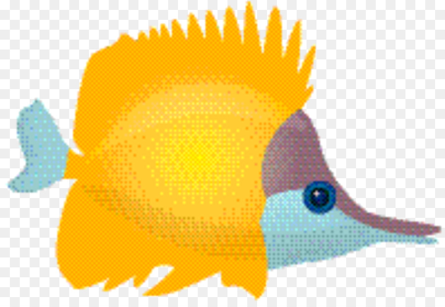 Pesci tropicali Biologia Pesci ornamentali Pesce pagliaccio - 