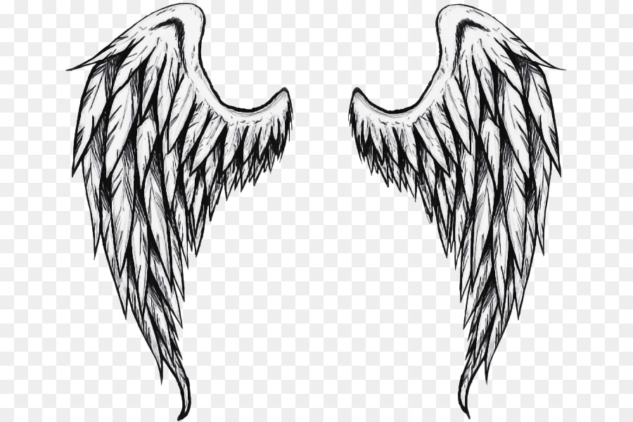 Angel Cartoon png download - 715*600 - Free Transparent Drawing png  Download. - CleanPNG / KissPNG
