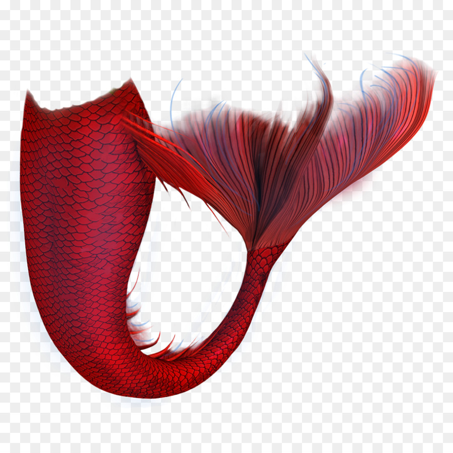 Coda di disegno di trasparenza della sirena - coda della sirena
