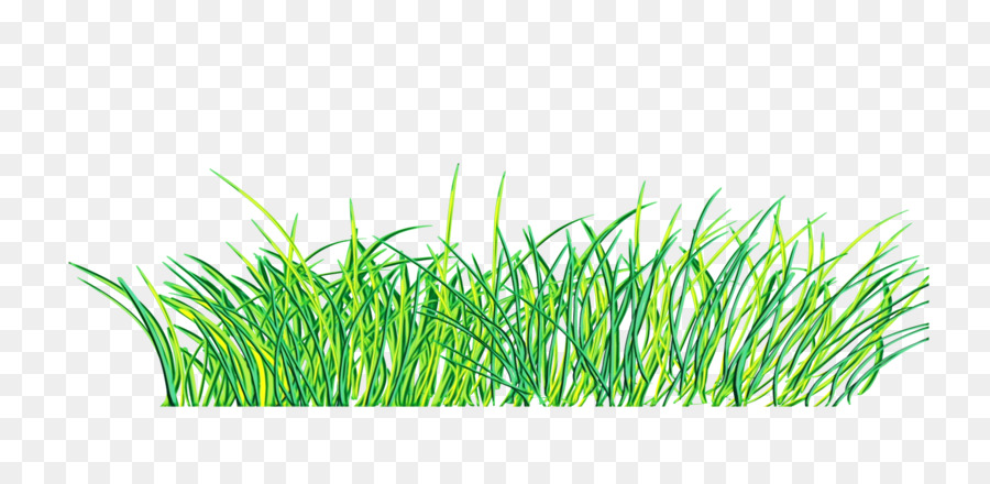 Thiết kế bản vẽ cỏ màu xanh - 