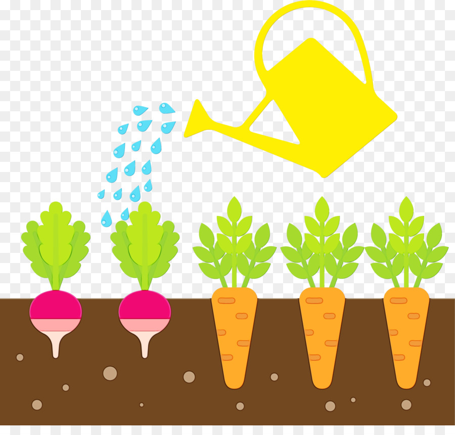 Nährpflanzen Pflanzennahrung Bodenwurzel - 
