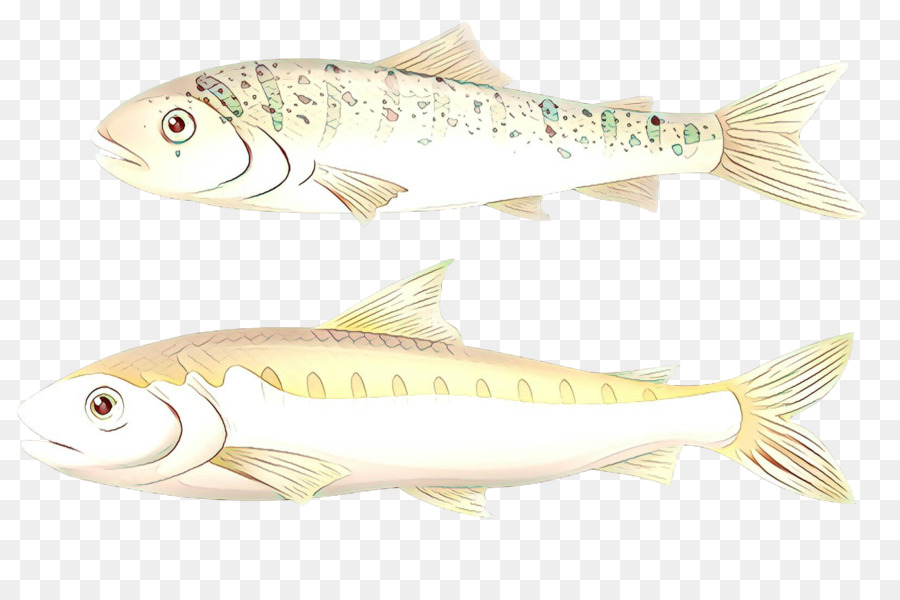 Pesce salmone sardina Prodotti a base di pesce Sgombro Milkfish - 