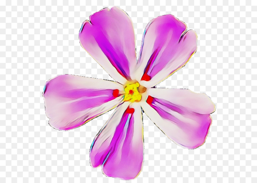 Cánh hoa cắt cành Violet - 