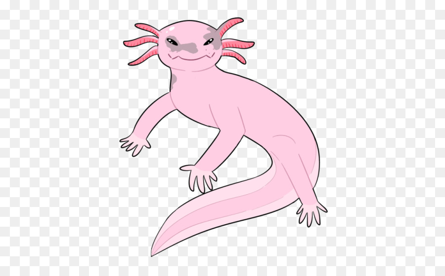 Vẽ Axolotl Grunkle Stan Cartoon Vitruvian Man - axolotl màu nước